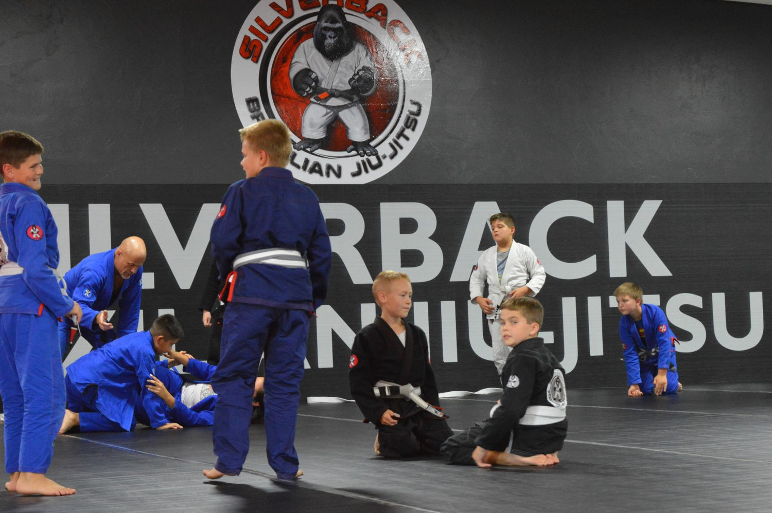 March 2023 – Silverback Brazilian Jiu-Jitsu Academy
